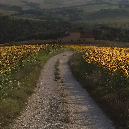 Agriturismo Il Pallocco