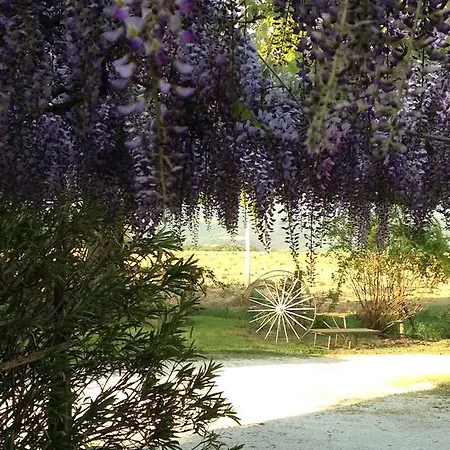 Agriturismo Il Pallocco