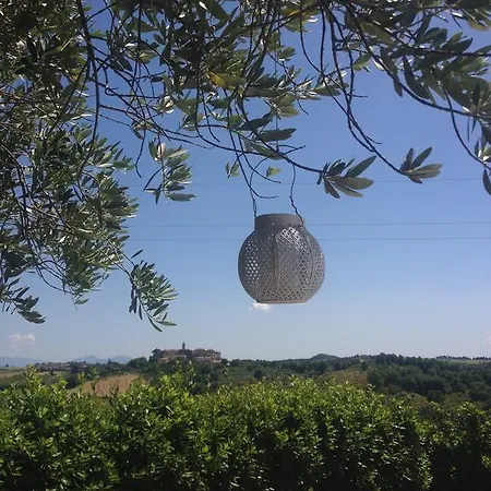 Agriturismo Il Pallocco
