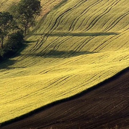 Agriturismo Il Pallocco Montecastrilli