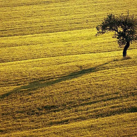 Séjour à la ferme Agriturismo Il Pallocco