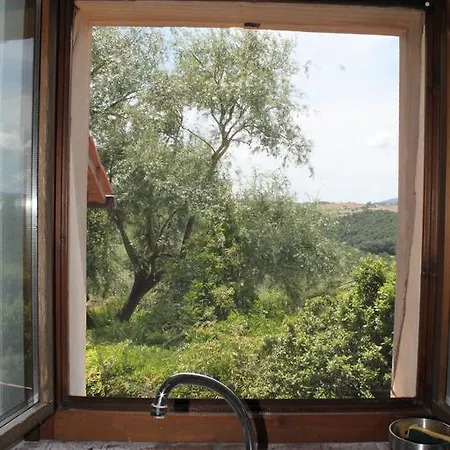 Agriturismo Il Pallocco *